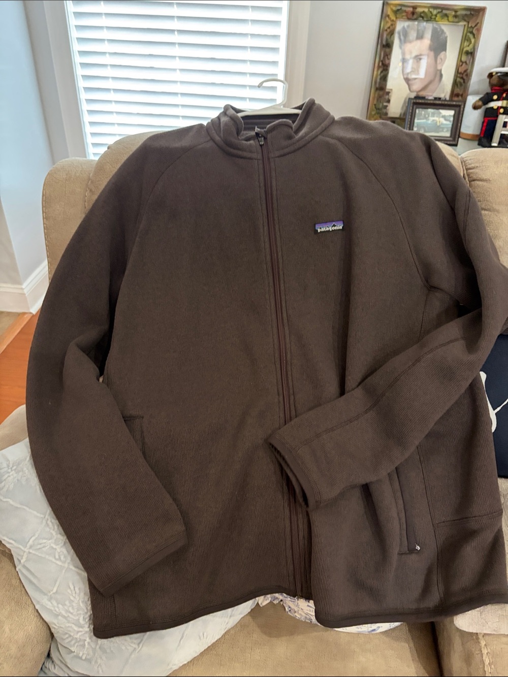Patagonia Brown Full-Zip Men's Fleece Hoodie